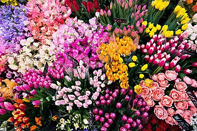 《自杀小队：战胜正义联盟》Steam峰值不及《漫威复仇者联盟》一半